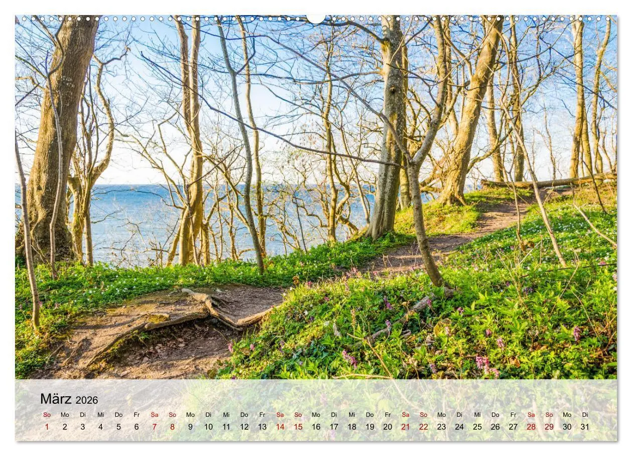 Bild: 9783457275924 | Schwedeneck Natur und Meer (Wandkalender 2026 DIN A2 quer),...
