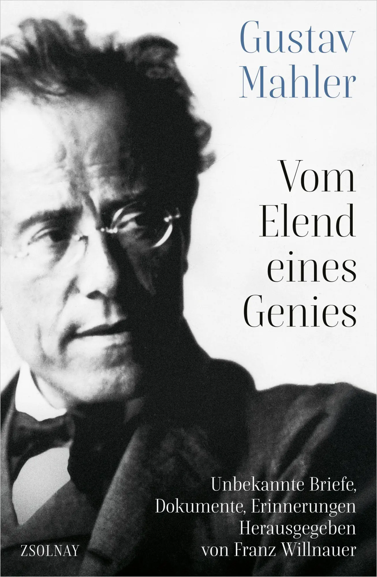 Cover: 9783552075924 | Gustav Mahler Vom Elend eines Genies | Franz Willnauer | Buch | 336 S.