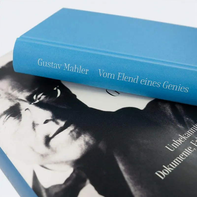 Bild: 9783552075924 | Gustav Mahler Vom Elend eines Genies | Franz Willnauer | Buch | 336 S.