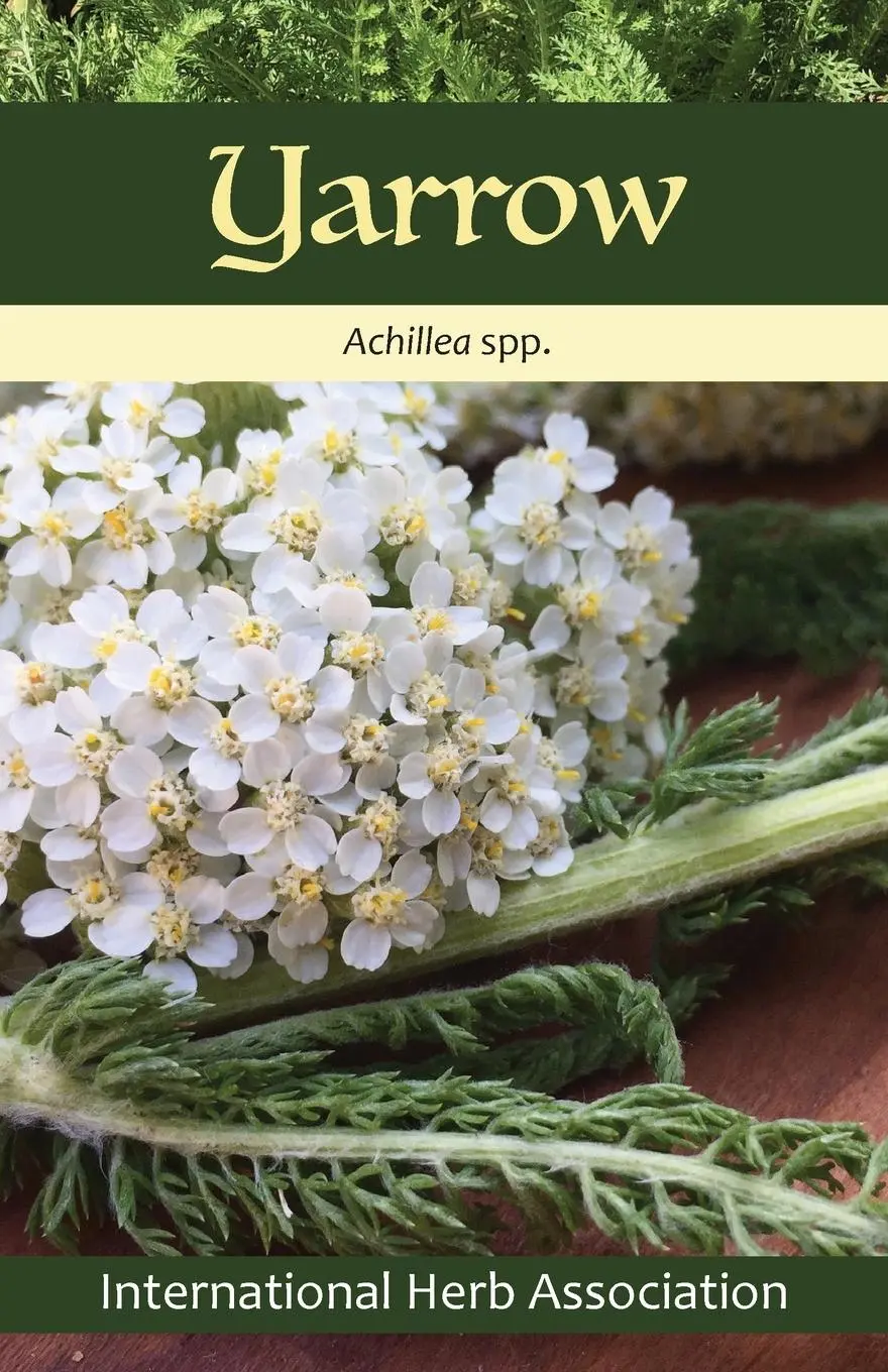 Cover: 9798987895924 | Yarrow | Herb of the Year(TM) 2024 | Kathleen Connole | Taschenbuch