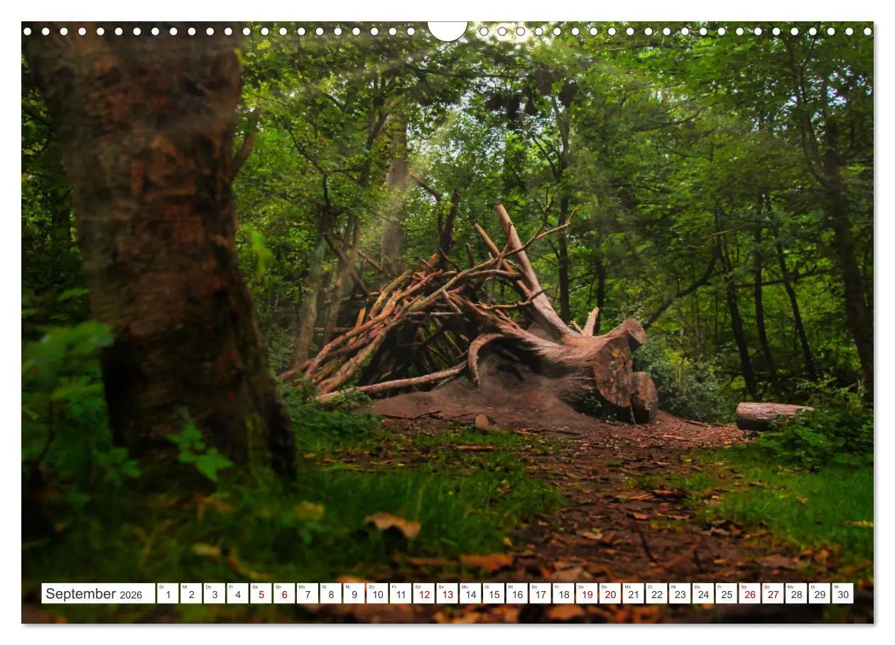 Bild: 9783457546024 | Langeoog - Perle der Natur (Wandkalender 2026 DIN A3 quer),...
