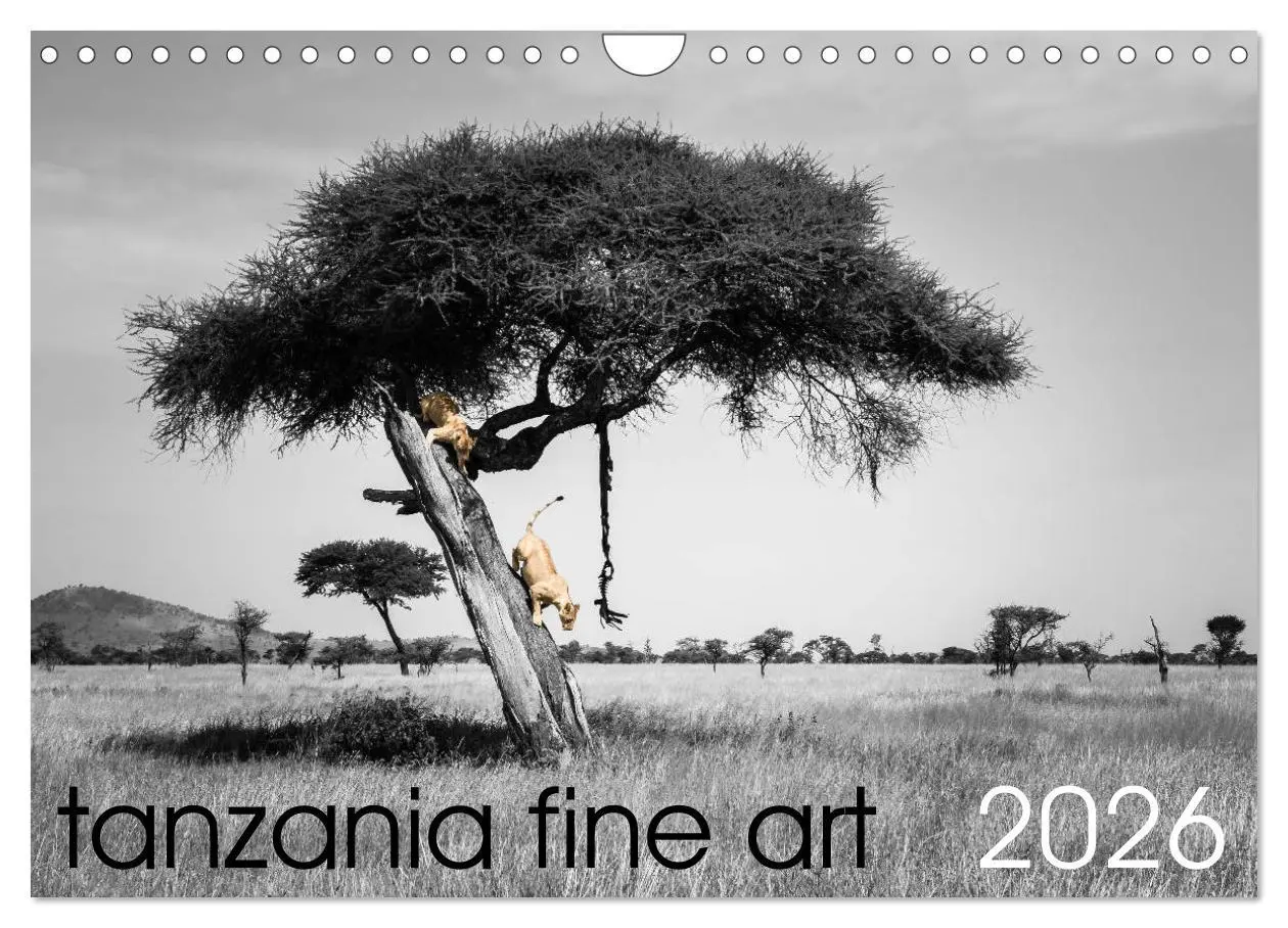 Cover: 9783516566024 | tanzania fine art (Wall Calendar 2026 DIN A4 landscape), CALVENDO...