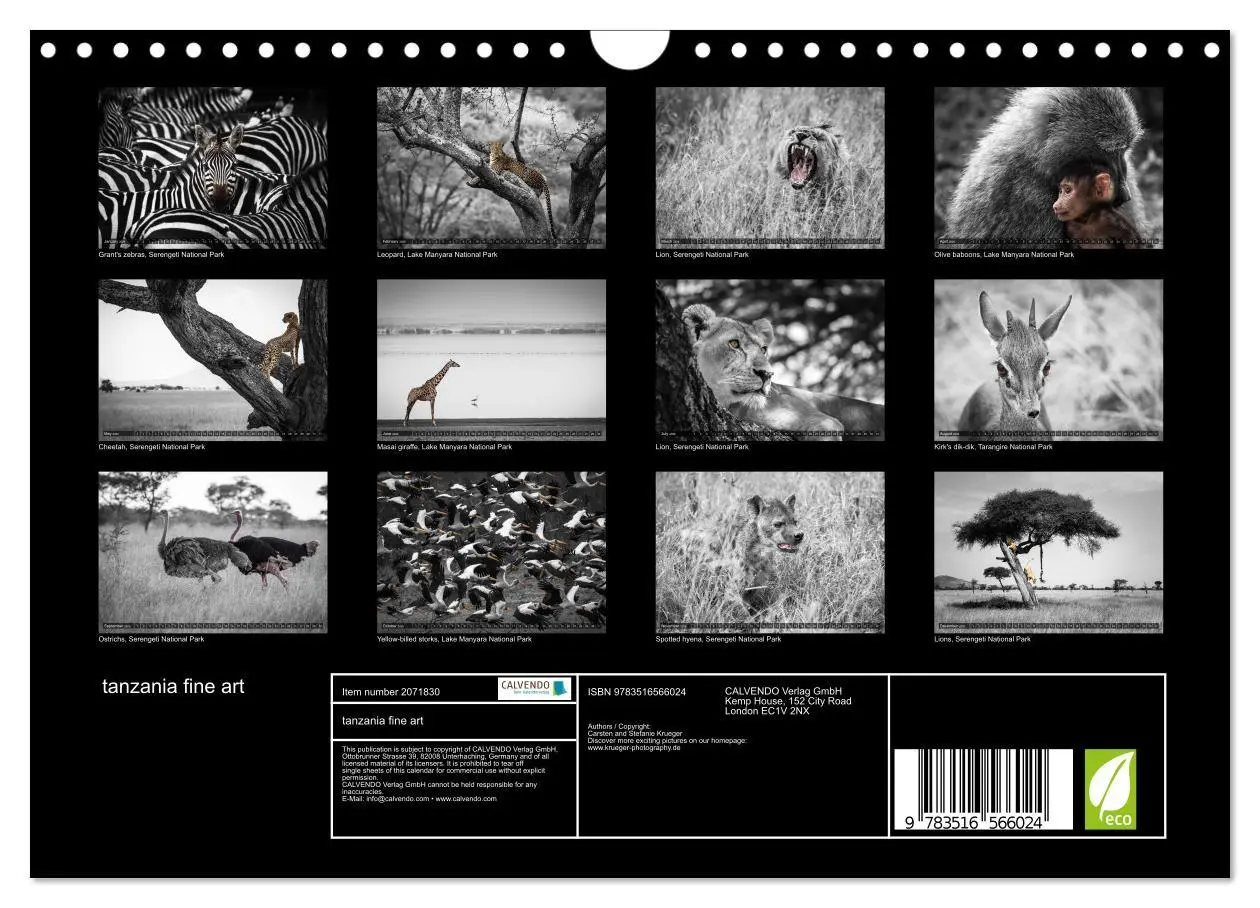 Bild: 9783516566024 | tanzania fine art (Wall Calendar 2026 DIN A4 landscape), CALVENDO...