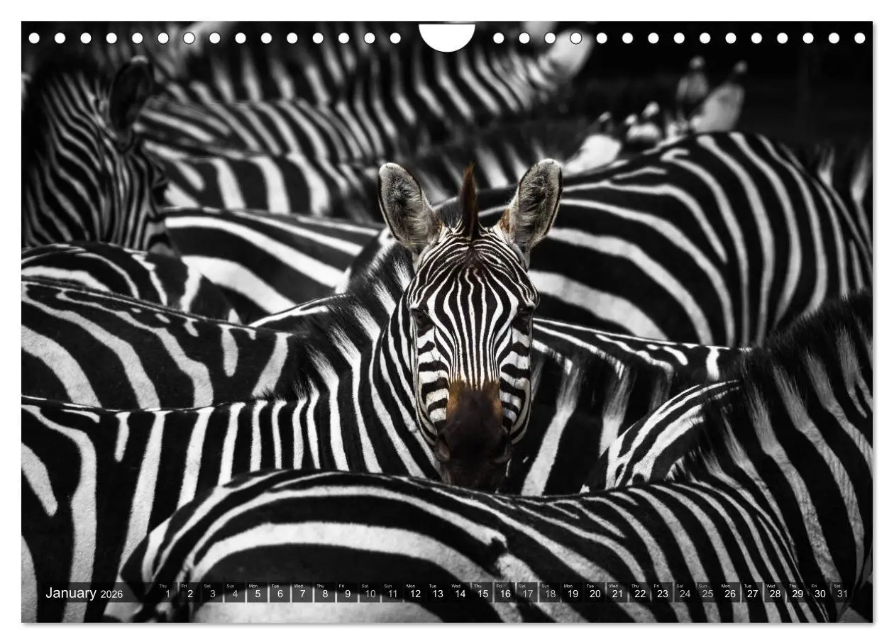 Bild: 9783516566024 | tanzania fine art (Wall Calendar 2026 DIN A4 landscape), CALVENDO...