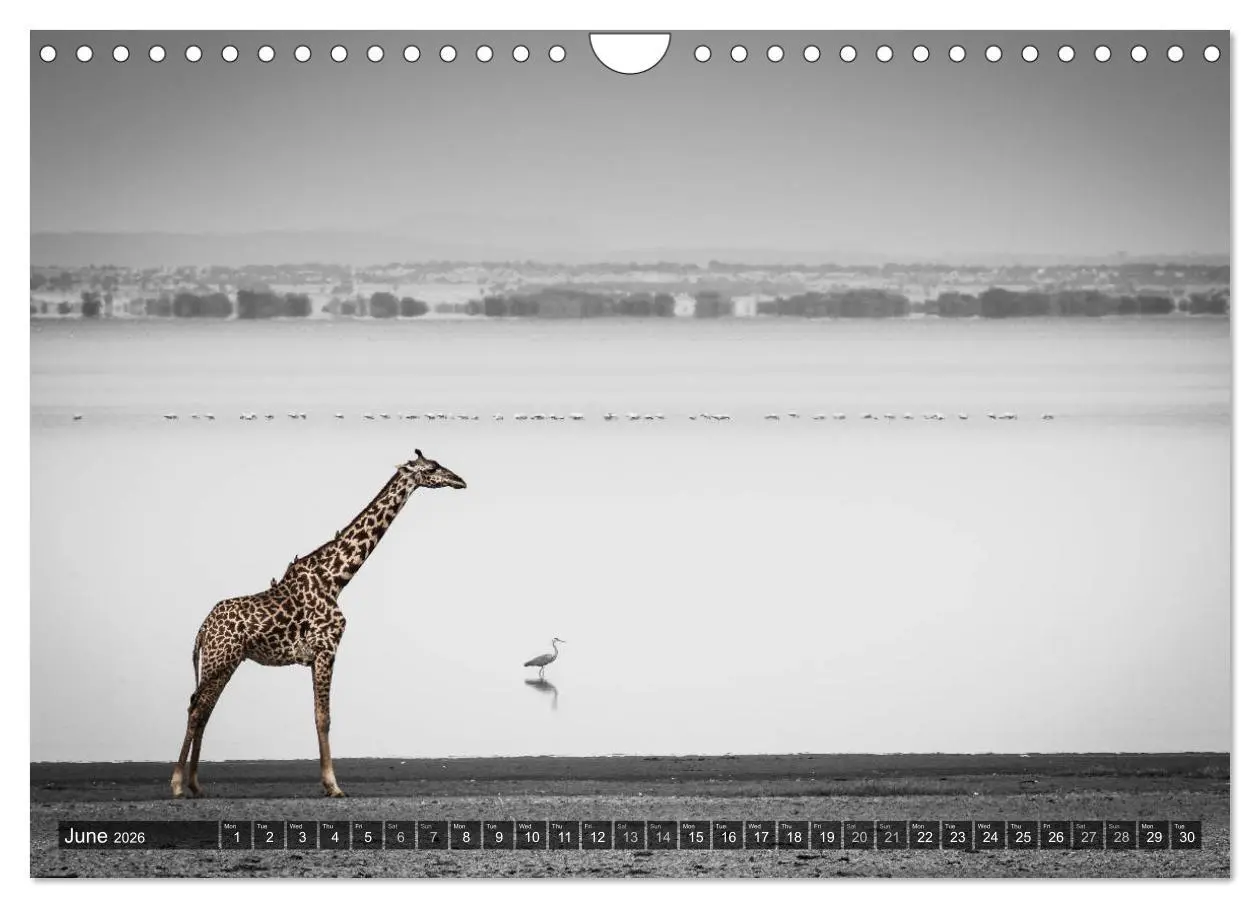 Bild: 9783516566024 | tanzania fine art (Wall Calendar 2026 DIN A4 landscape), CALVENDO...