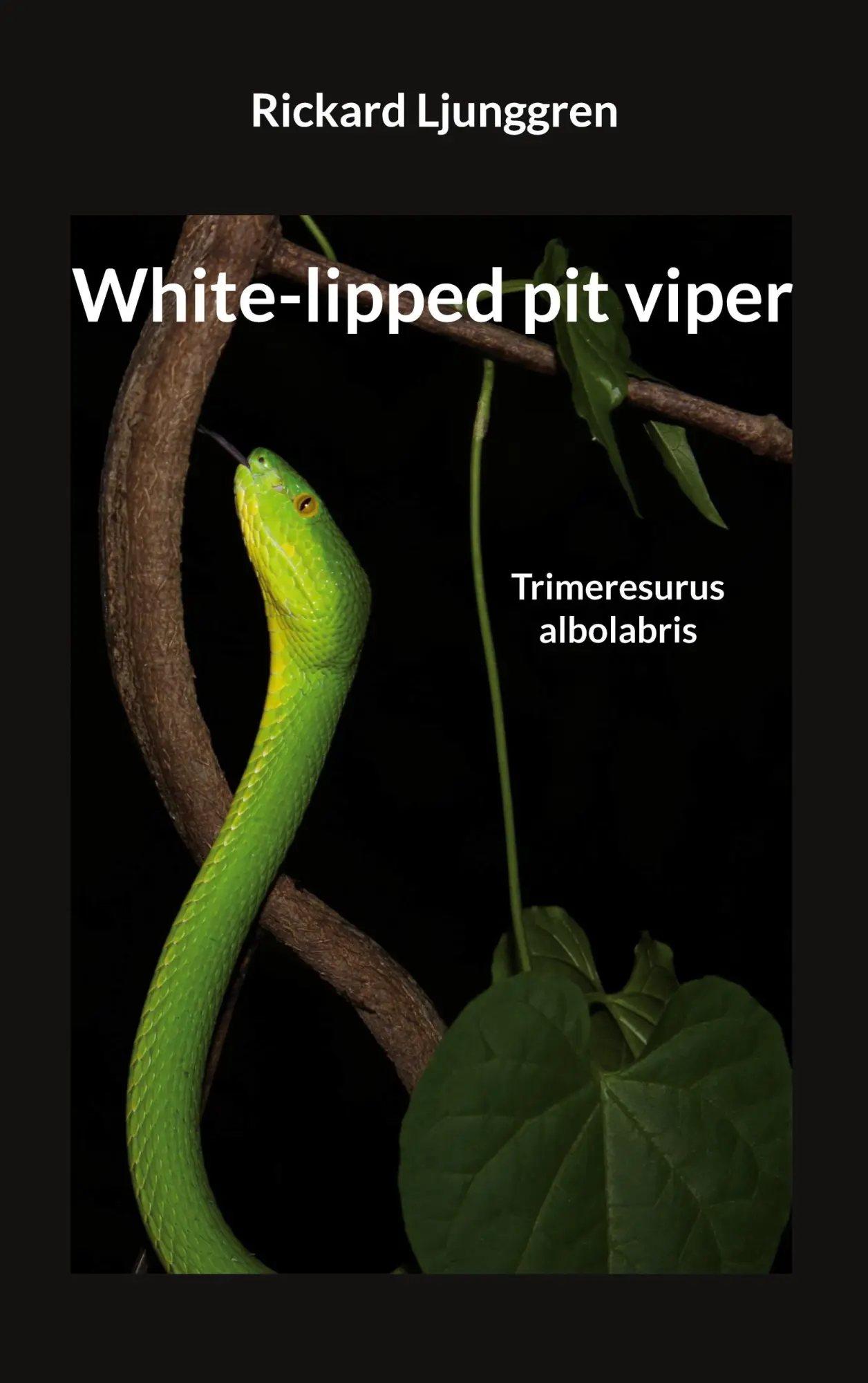 Cover: 9789180576024 | White-lipped pit viper | Trimeresurus albolabris | Rickard Ljunggren