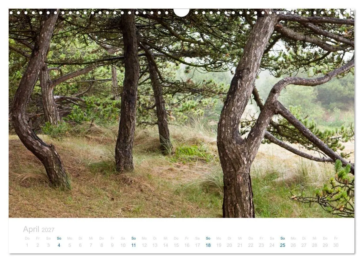 Bild: 9783594226124 | Ameland (Wandkalender 2027 DIN A3 quer), CALVENDO Monatskalender