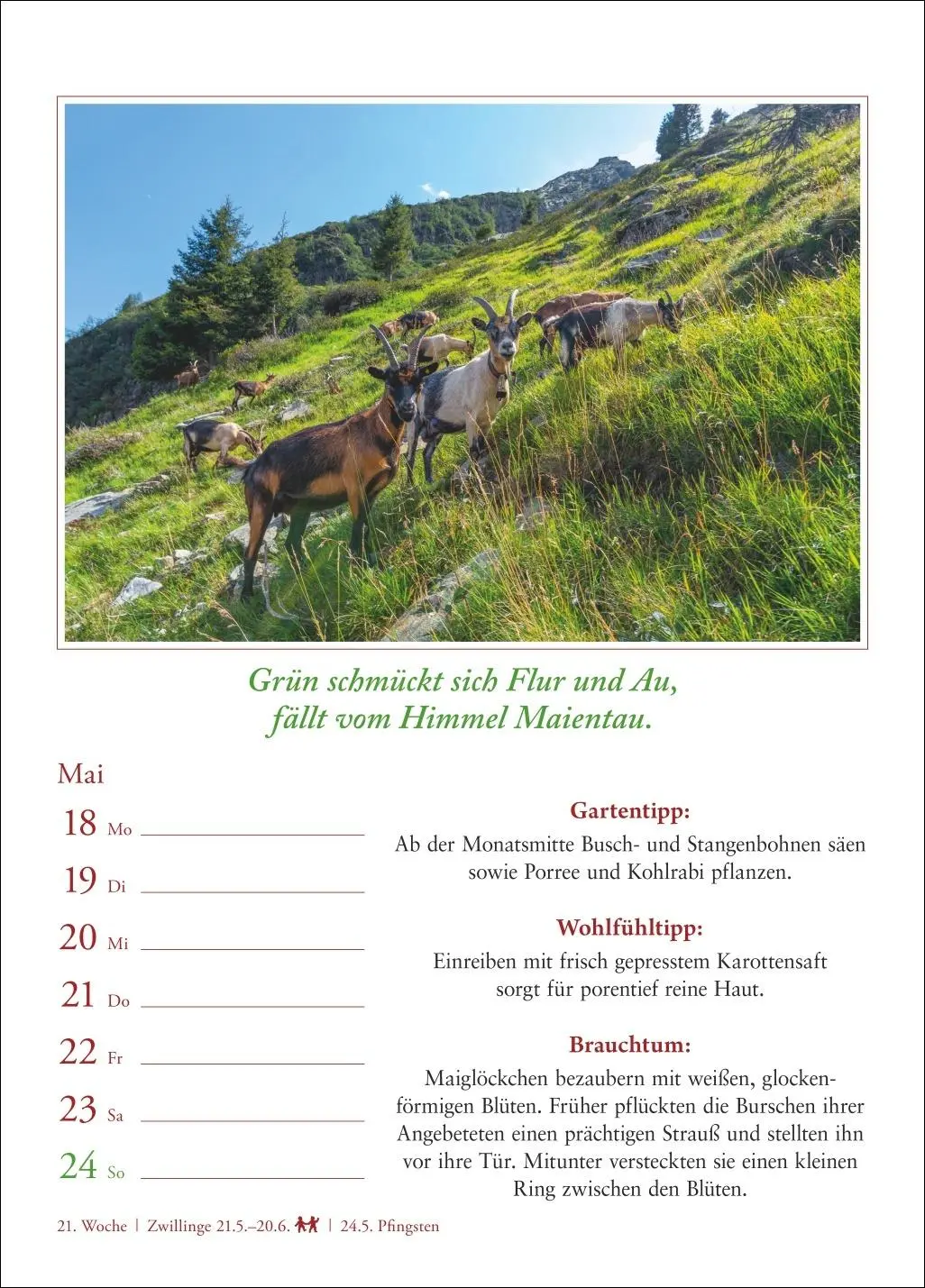 Bild: 9783840036224 | Bauernweisheiten Wochenkalender 2026 - Bauernregeln, Brauchtum,...