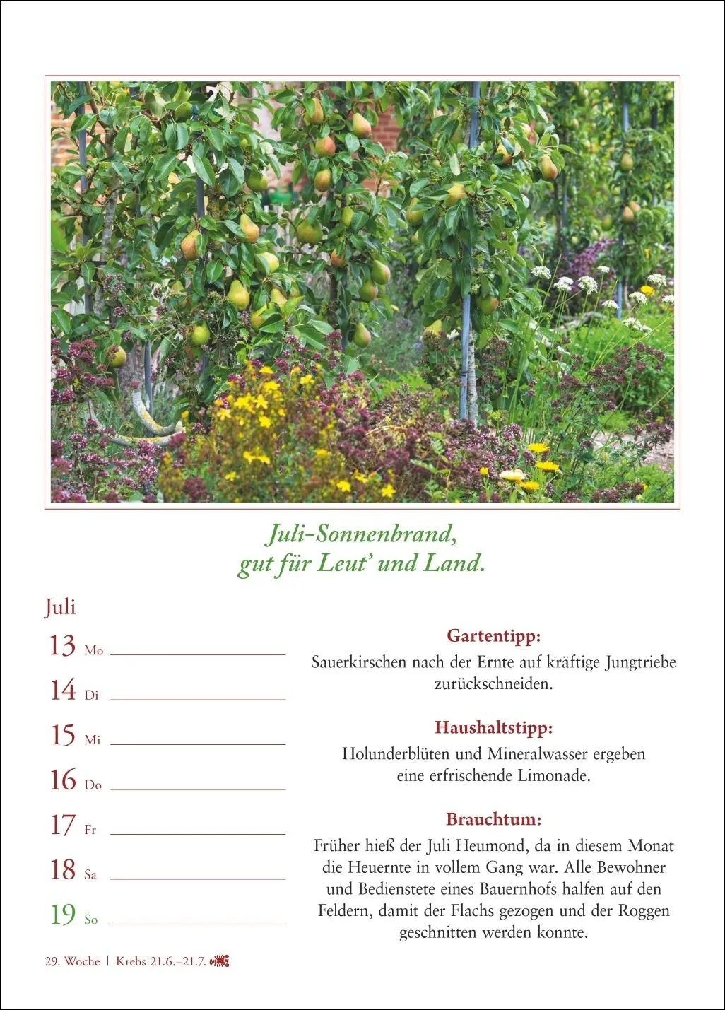 Bild: 9783840036224 | Bauernweisheiten Wochenkalender 2026 - Bauernregeln, Brauchtum,...