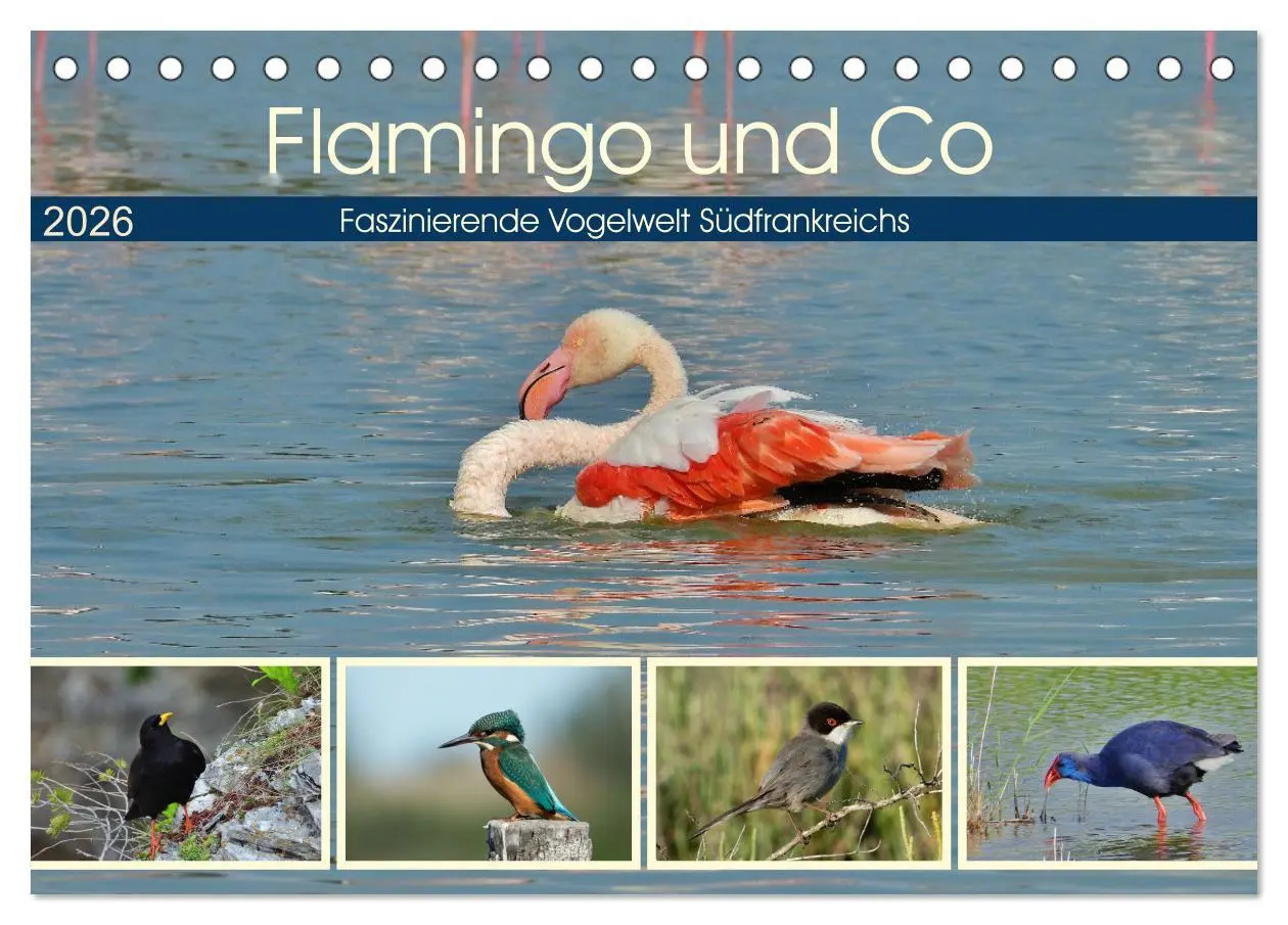 Cover: 9783457686324 | Flamingo und Co - Faszinierende Vogelwelt Südfrankreichs...