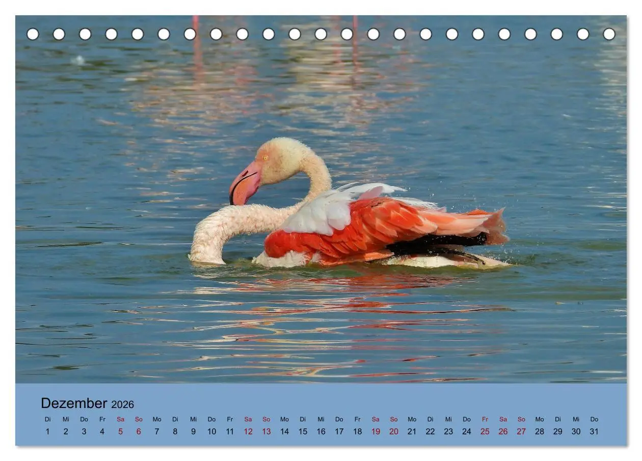 Bild: 9783457686324 | Flamingo und Co - Faszinierende Vogelwelt Südfrankreichs...