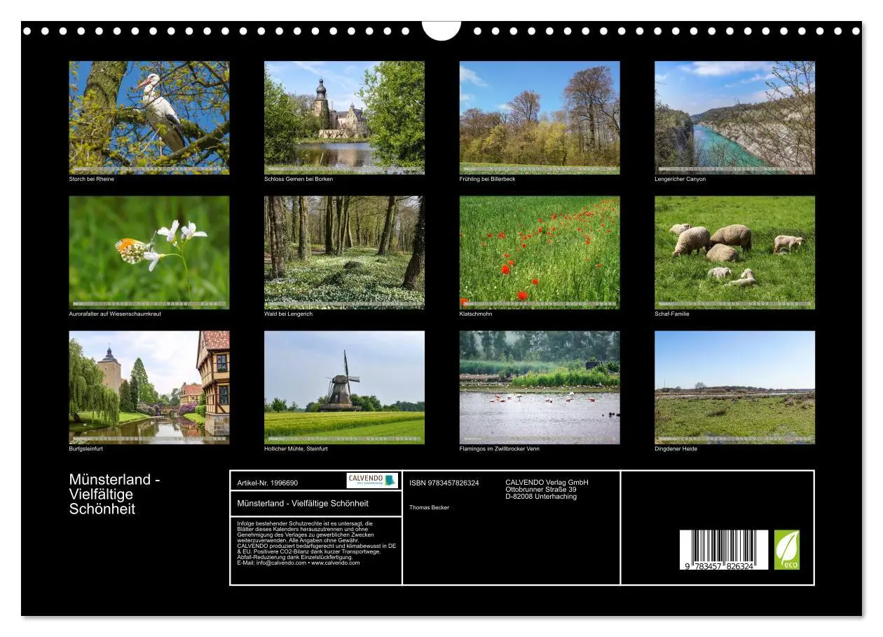 Bild: 9783457826324 | Münsterland - Vielfältige Schönheit (Wandkalender 2026 DIN A3...