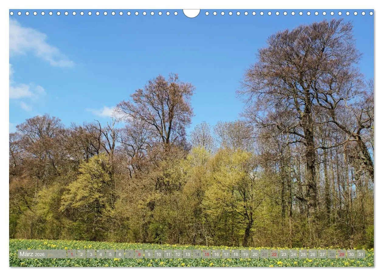 Bild: 9783457826324 | Münsterland - Vielfältige Schönheit (Wandkalender 2026 DIN A3...