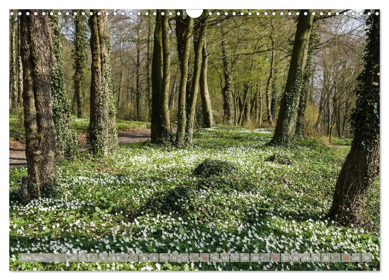 Bild: 9783457826324 | Münsterland - Vielfältige Schönheit (Wandkalender 2026 DIN A3...