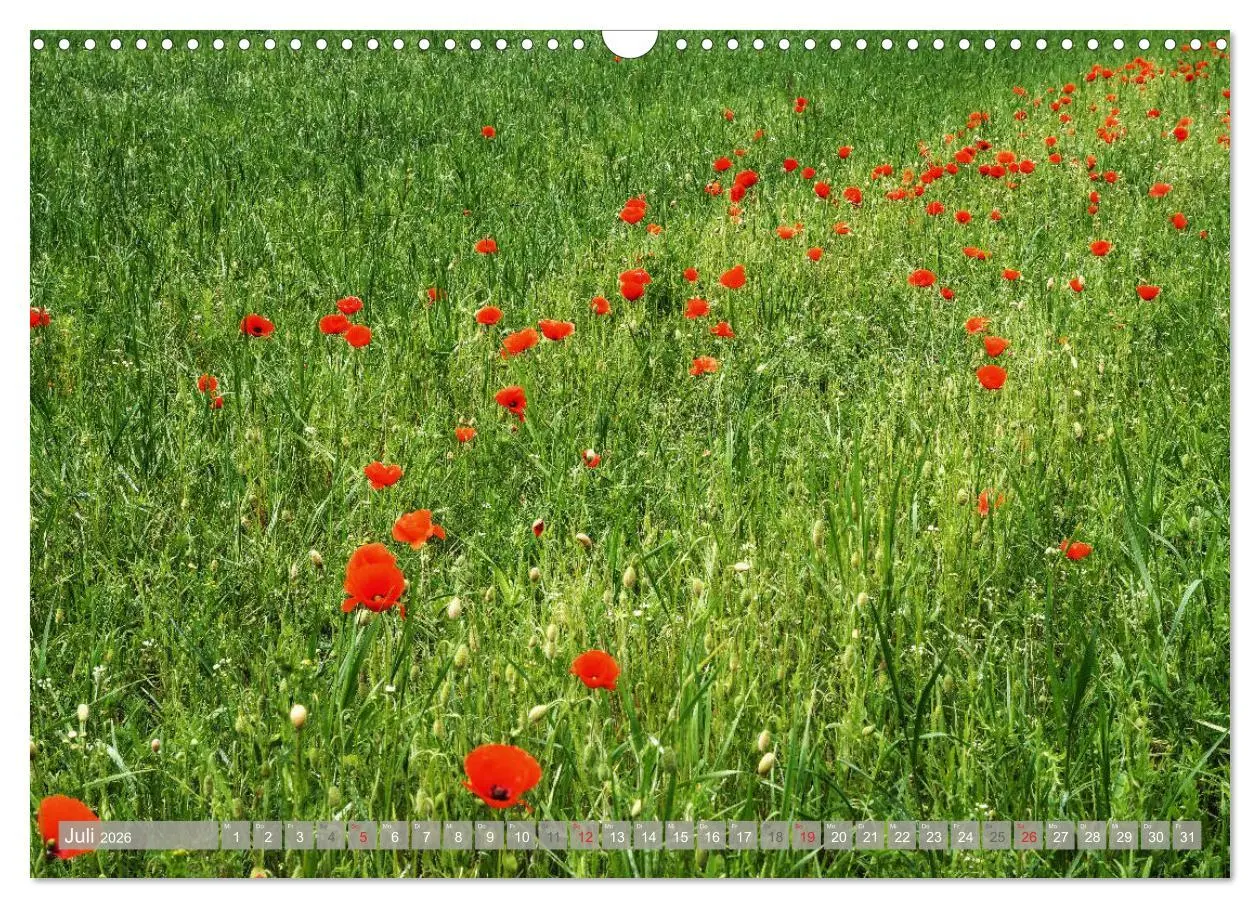 Bild: 9783457826324 | Münsterland - Vielfältige Schönheit (Wandkalender 2026 DIN A3...