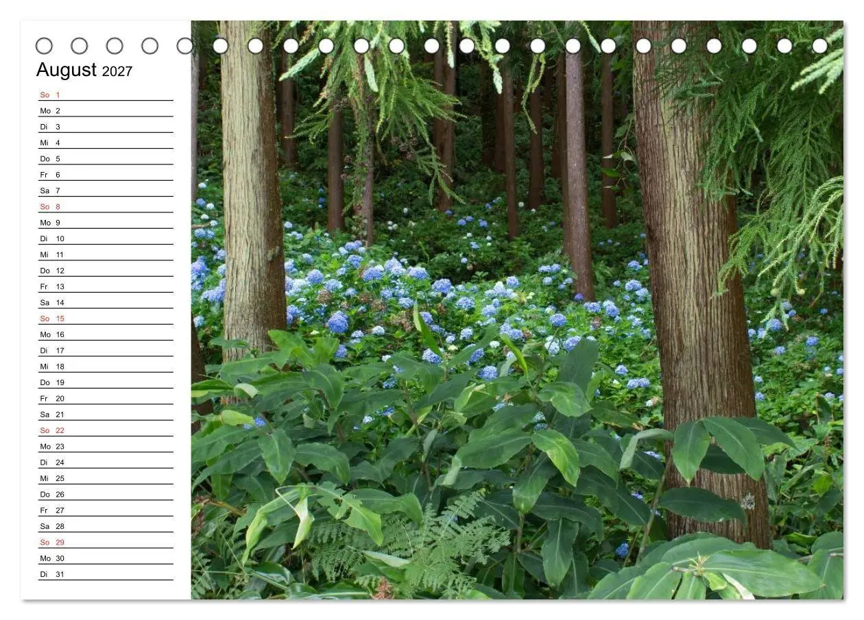 Bild: 9783569936324 | Azoren - São Miguel (Tischkalender 2027 DIN A5 quer), CALVENDO...