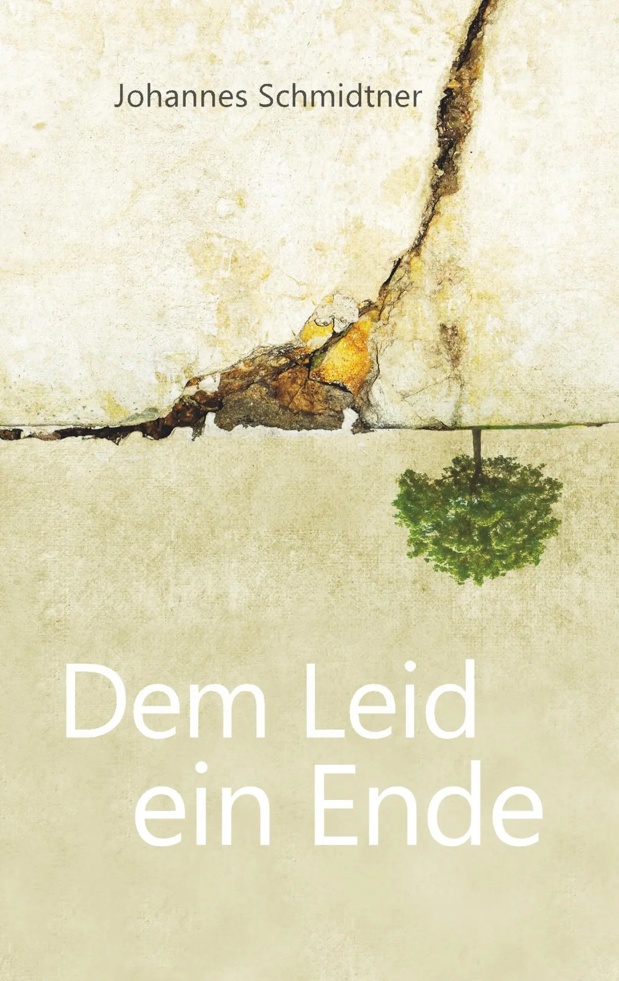 Cover: 9783748126324 | Dem Leid ein Ende | Johannes Schmidtner | Taschenbuch | 244 S. | 2019