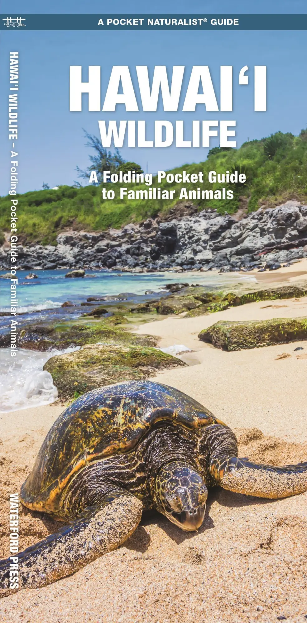 Cover: 9781620056424 | Hawai'i Wildlife | Waterford Press | Broschüre | Englisch | 2023