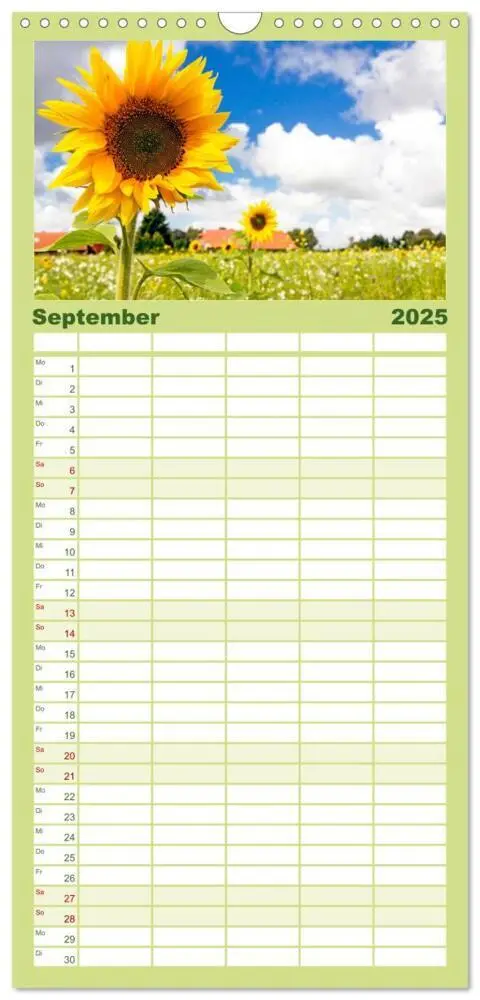 Bild: 9783457126424 | Familienplaner 2025 - Nordsee - Traum mit 5 Spalten (Wandkalender,...