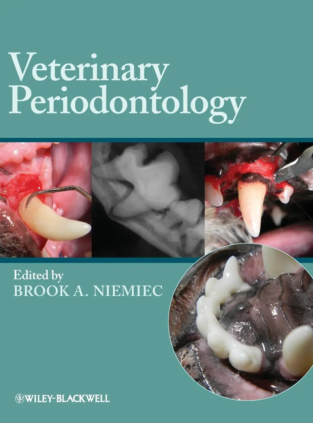 Cover: 9780813816524 | Veterinary Periodontology | Brook A. Niemiec | Buch | 360 S. | 2012