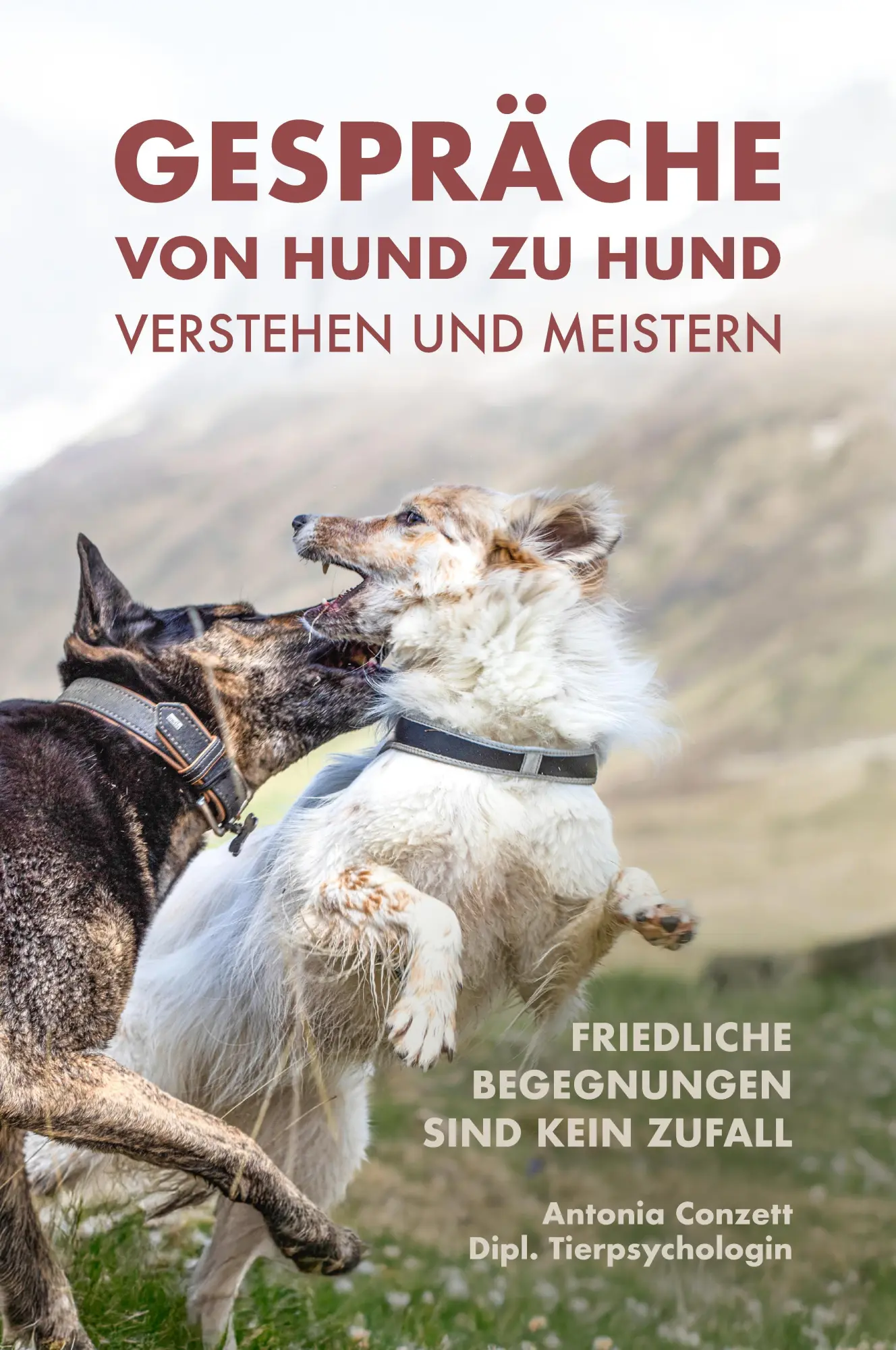 Cover: 9783384856524 | Gespräche von Hund zu Hund verstehen und meistern | Antonia Conzett