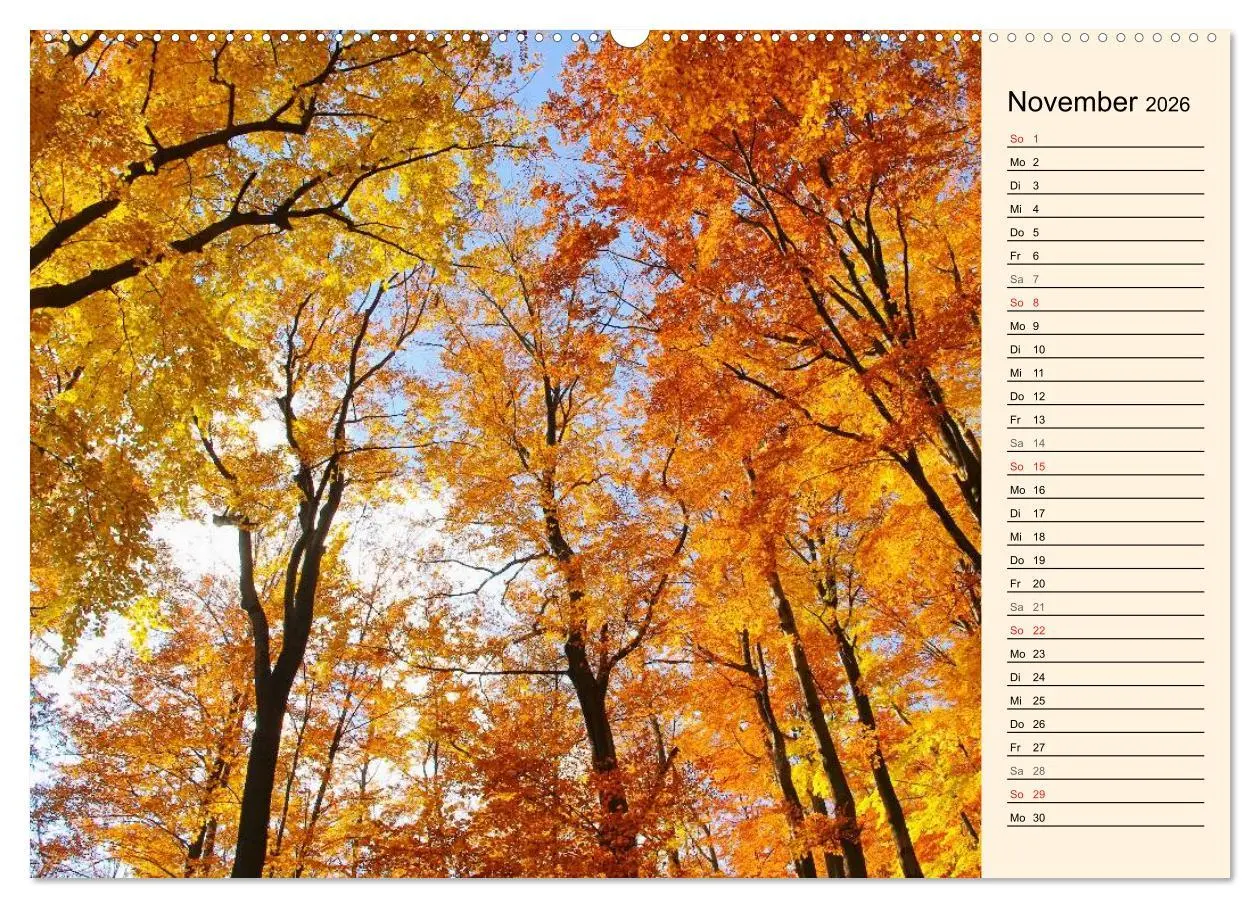 Bild: 9783457976524 | Riesengebirge (Wandkalender 2026 DIN A2 quer), CALVENDO Monatskalender