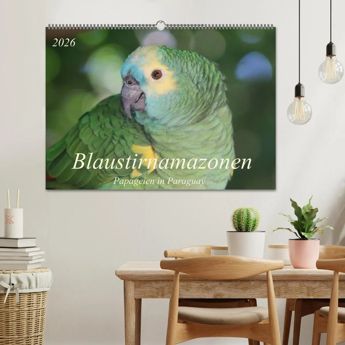 Bild: 9783516136524 | Blaustirnamazonen - Papageien in Paraguay (Wandkalender 2026 DIN A2...