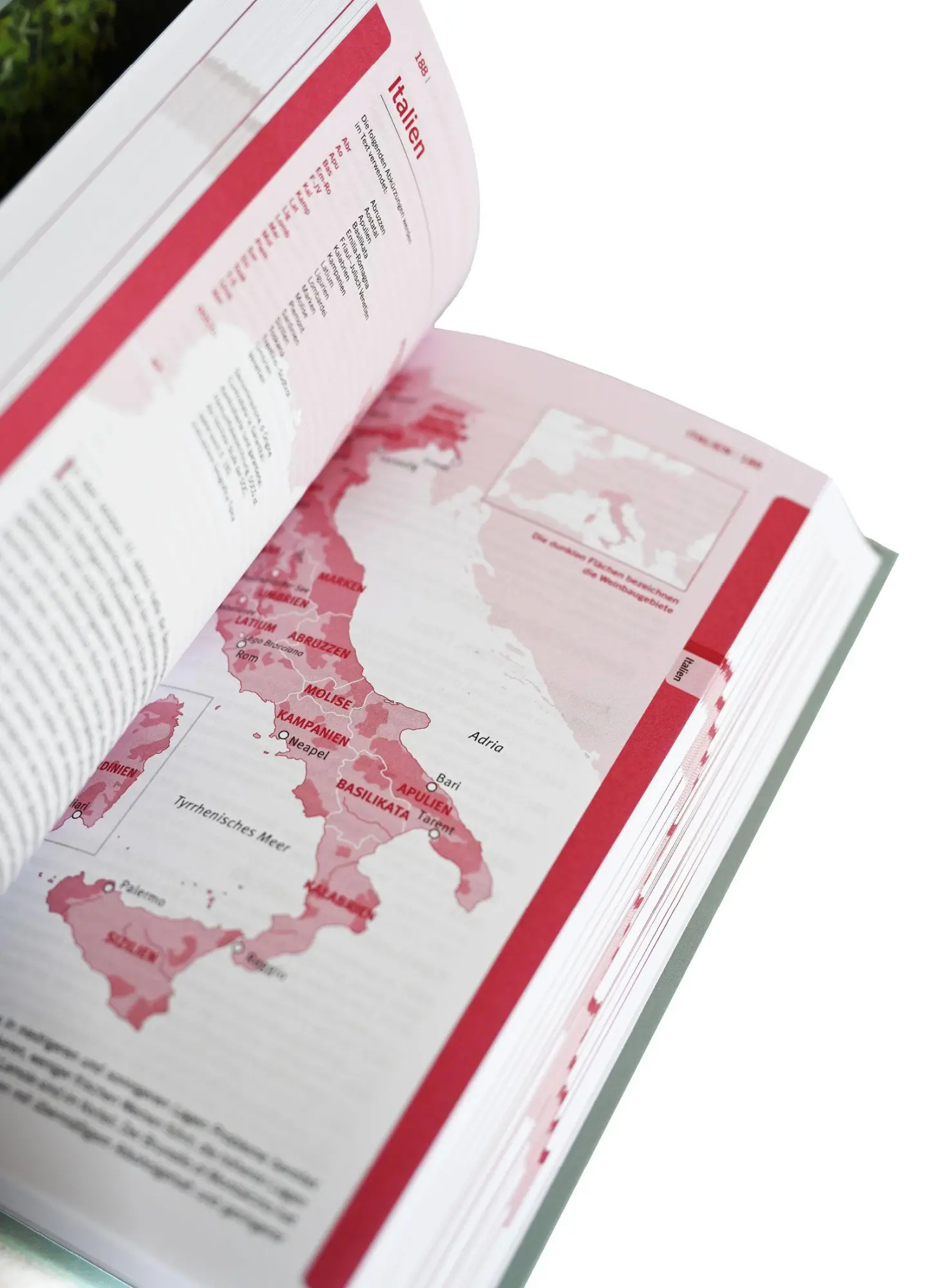 Bild: 9783965846524 | Der kleine Johnson 2027 | 50. Jubiläumsausgabe | Margaret Rand | Buch