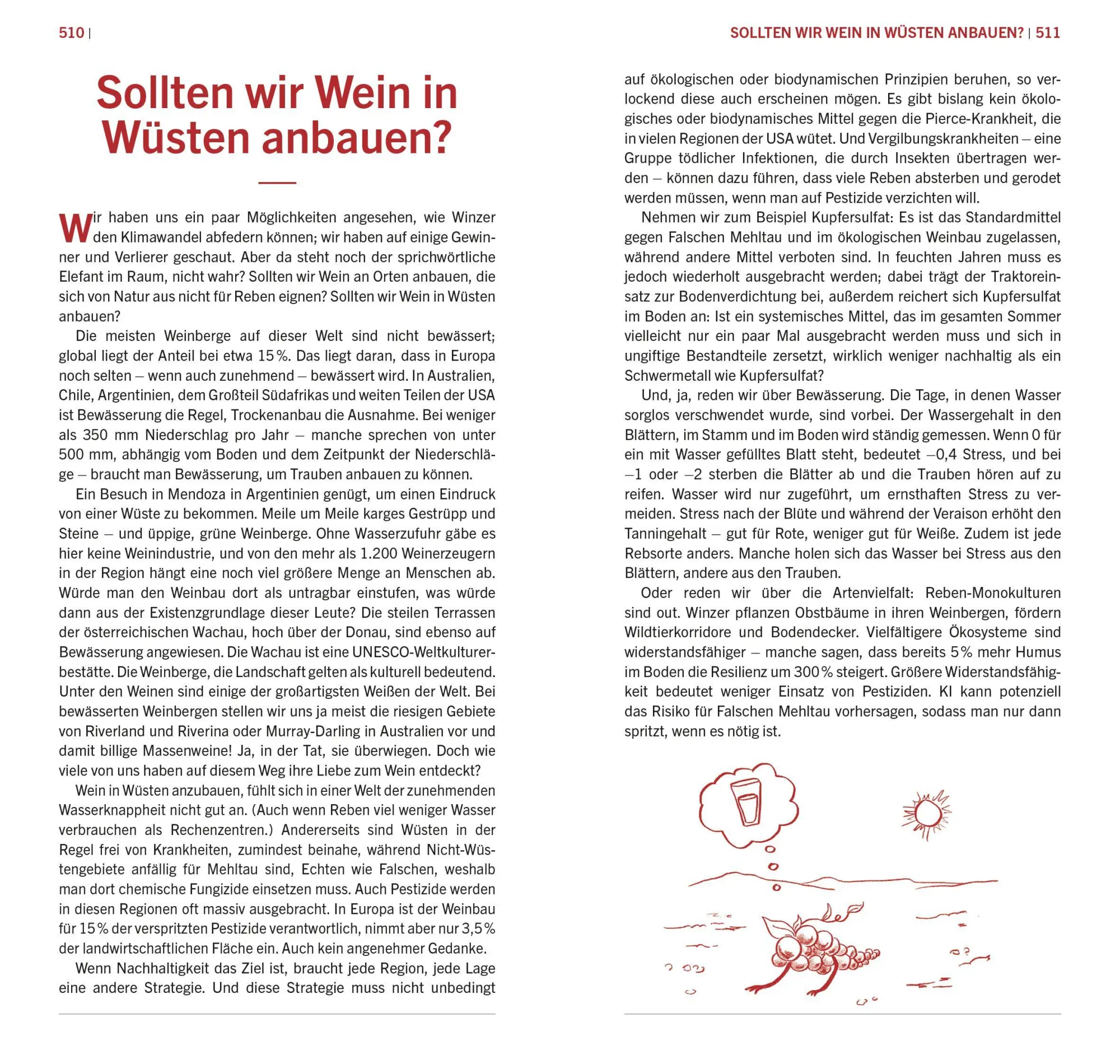 Bild: 9783965846524 | Der kleine Johnson 2027 | 50. Jubiläumsausgabe | Margaret Rand | Buch