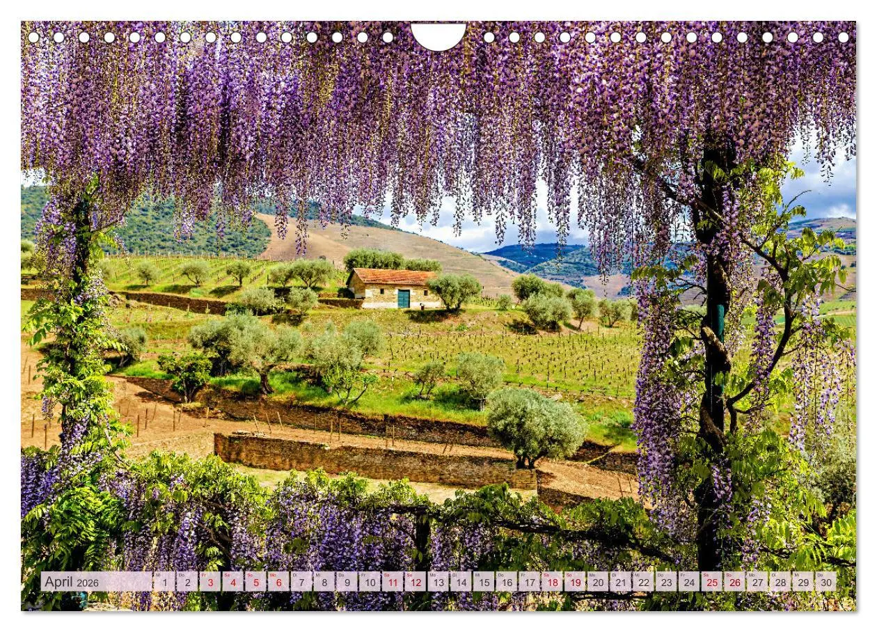 Bild: 9783457346624 | Von Porto bis an die Algarve (Wandkalender 2026 DIN A4 quer),...
