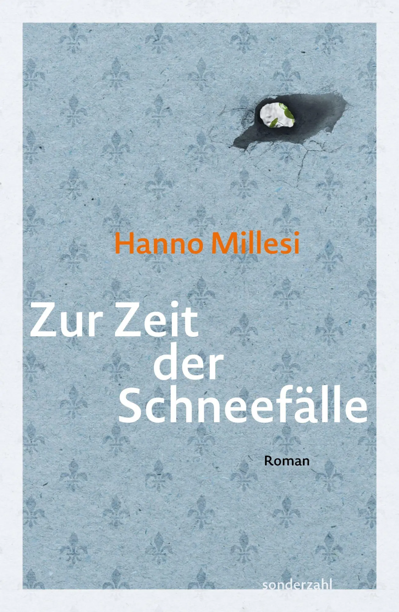 Cover: 9783854496724 | Zur Zeit der Schneefälle | Hanno Millesi | Taschenbuch | Deutsch