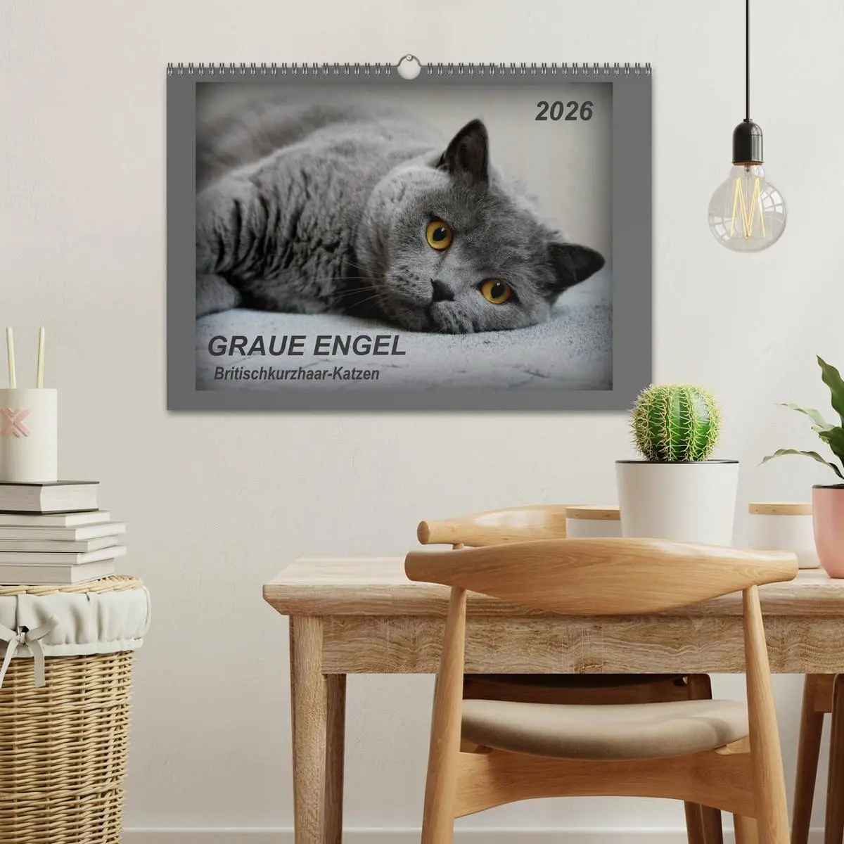 Bild: 9783457876824 | GRAUE ENGEL Britischkurzhaar-Katzen (Wandkalender 2026 DIN A3...