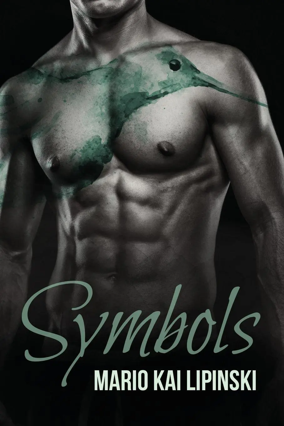 Cover: 9781635336924 | Symbols | Mario Kai Lipinski | Taschenbuch | Kartoniert / Broschiert