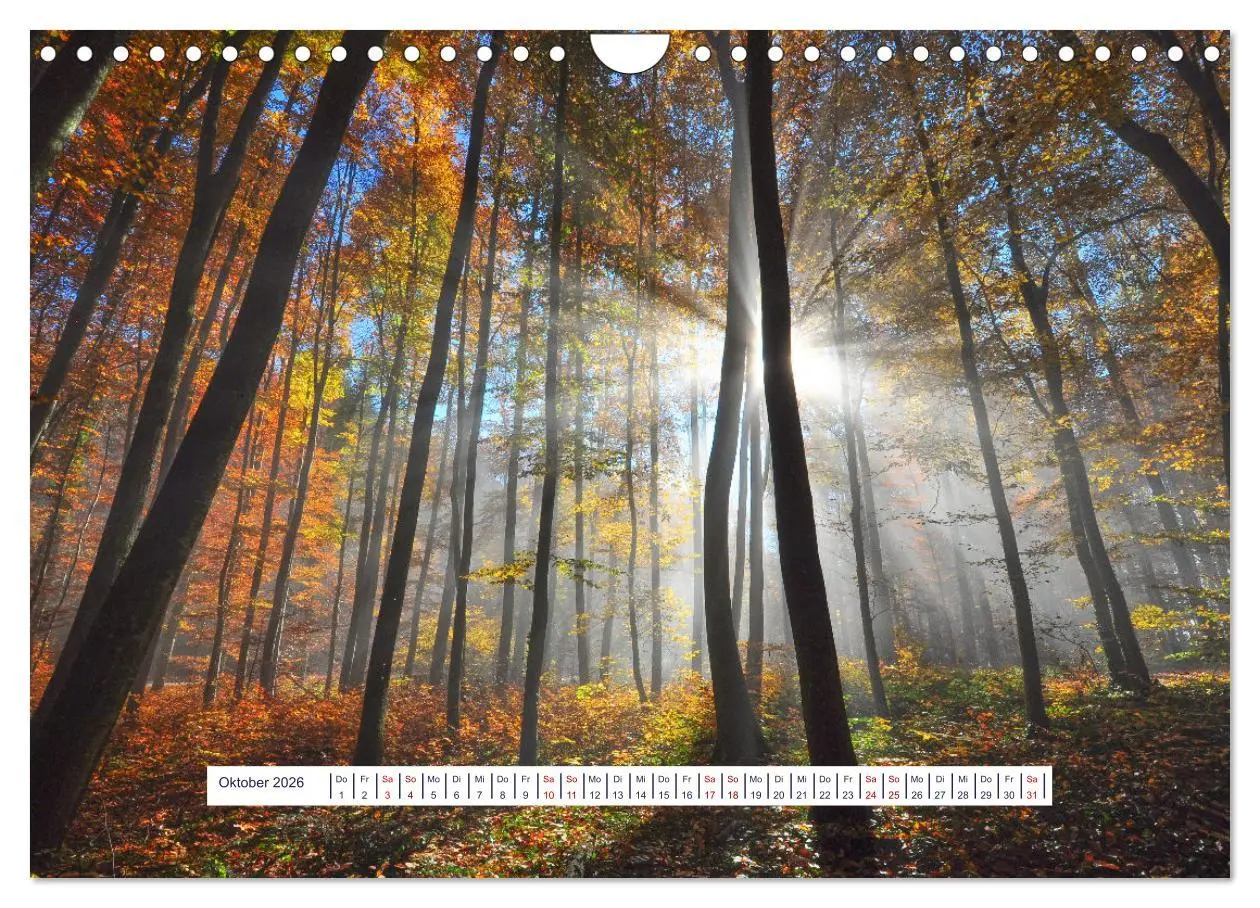 Bild: 9783457377024 | Vom Augenblick der Stille 2026 (Wandkalender 2026 DIN A4 quer),...