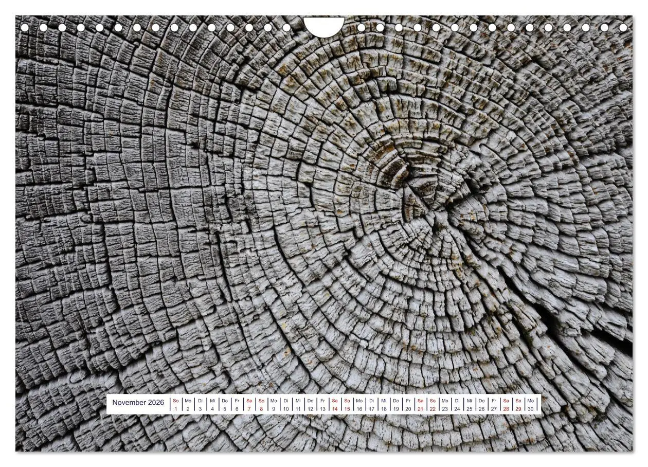 Bild: 9783457377024 | Vom Augenblick der Stille 2026 (Wandkalender 2026 DIN A4 quer),...