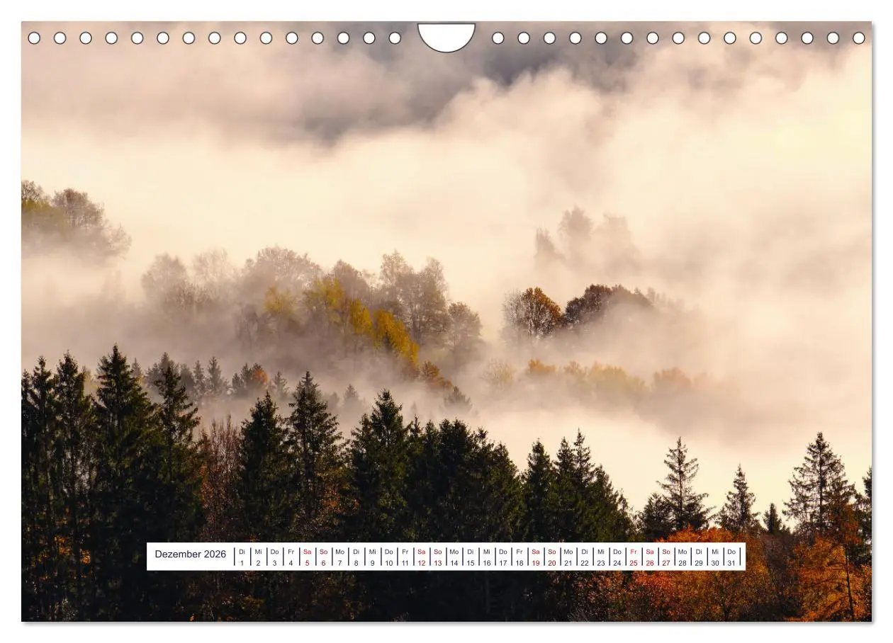 Bild: 9783457377024 | Vom Augenblick der Stille 2026 (Wandkalender 2026 DIN A4 quer),...