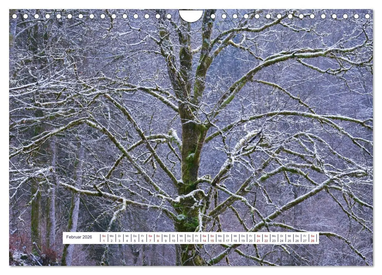 Bild: 9783457377024 | Vom Augenblick der Stille 2026 (Wandkalender 2026 DIN A4 quer),...