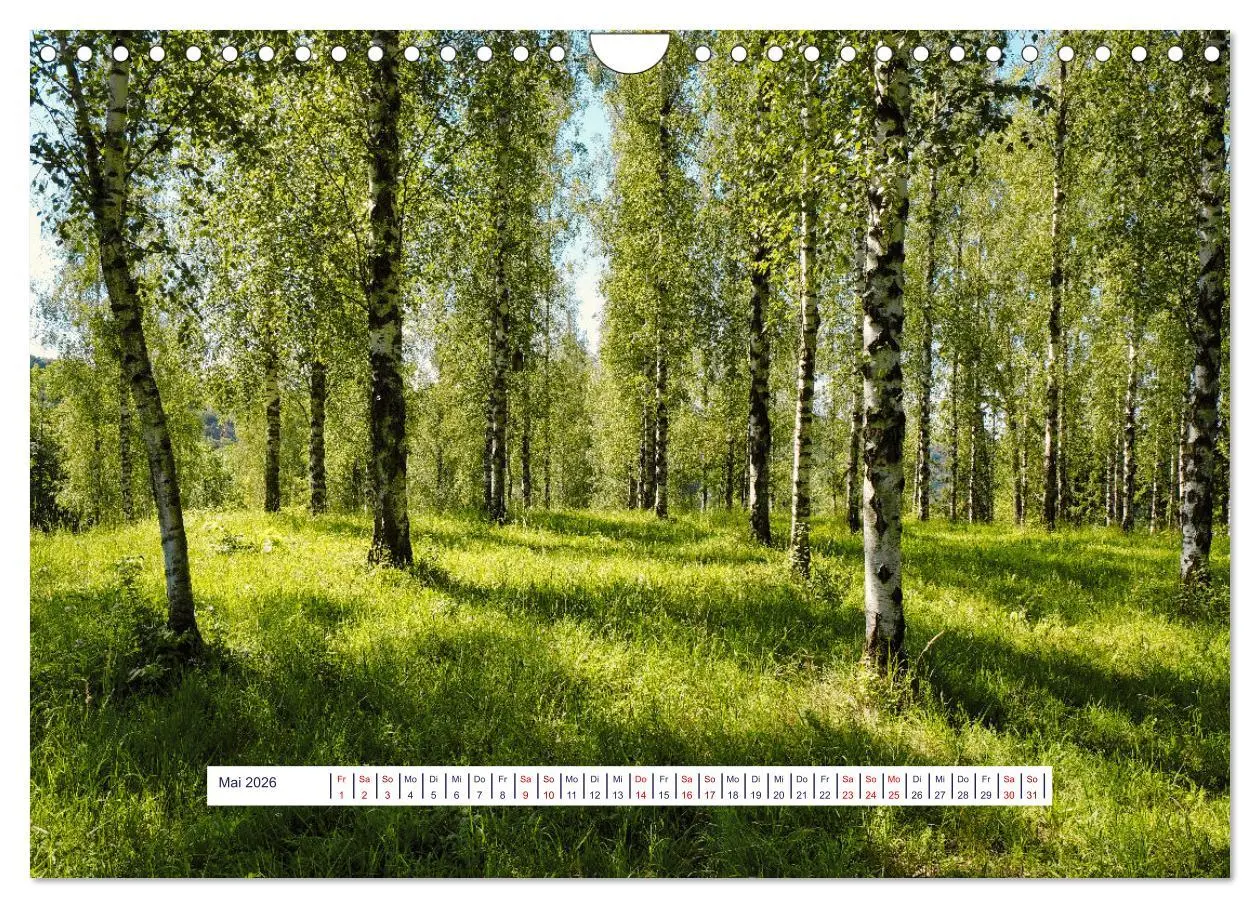 Bild: 9783457377024 | Vom Augenblick der Stille 2026 (Wandkalender 2026 DIN A4 quer),...