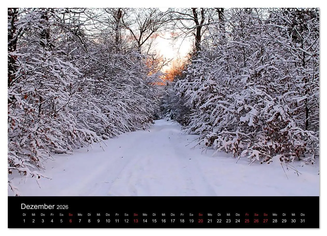 Bild: 9783516087024 | Meine Heimat Westerwald (Wandkalender 2026 DIN A2 quer), CALVENDO...