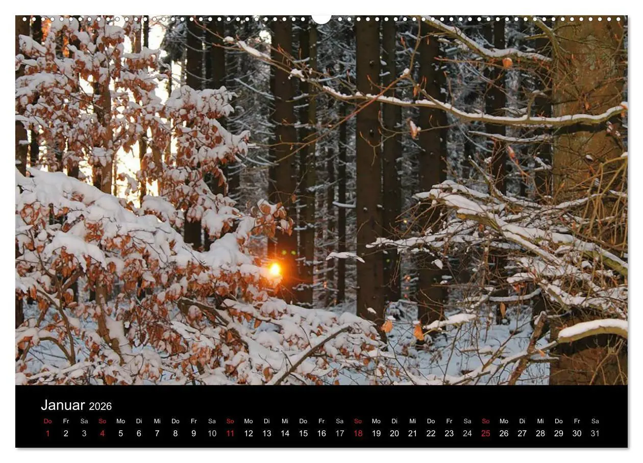 Bild: 9783516087024 | Meine Heimat Westerwald (Wandkalender 2026 DIN A2 quer), CALVENDO...