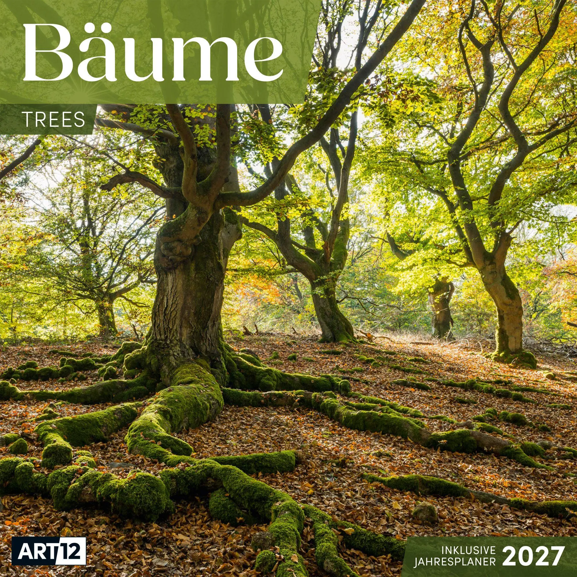 Cover: 9783838447124 | Bäume Kalender 2027 - 30x30 - Art12 | Ackermann Kunstverlag GmbH