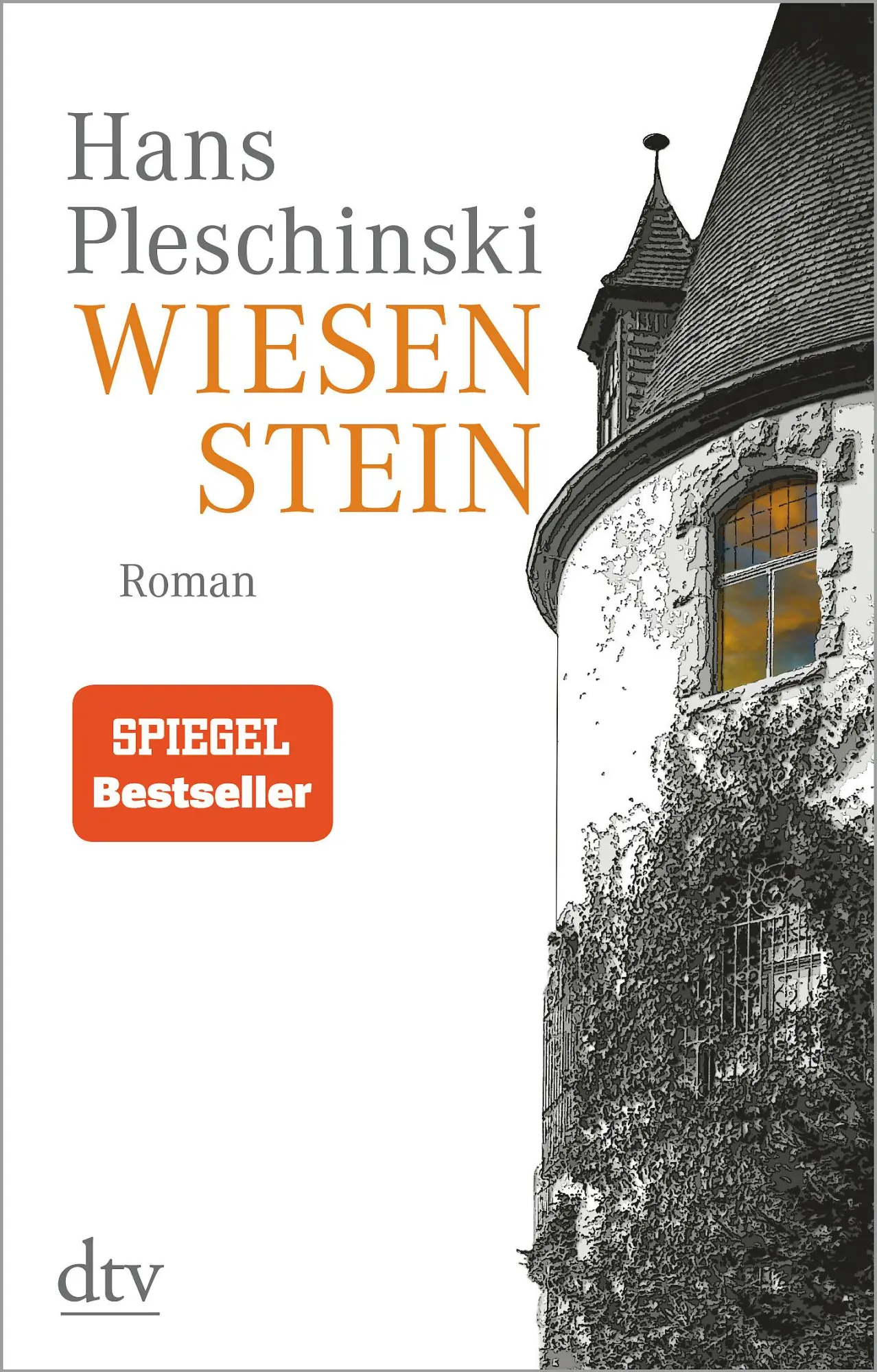Cover: 9783423147224 | Wiesenstein | Roman | Hans Pleschinski | Taschenbuch | 552 S. | 2019