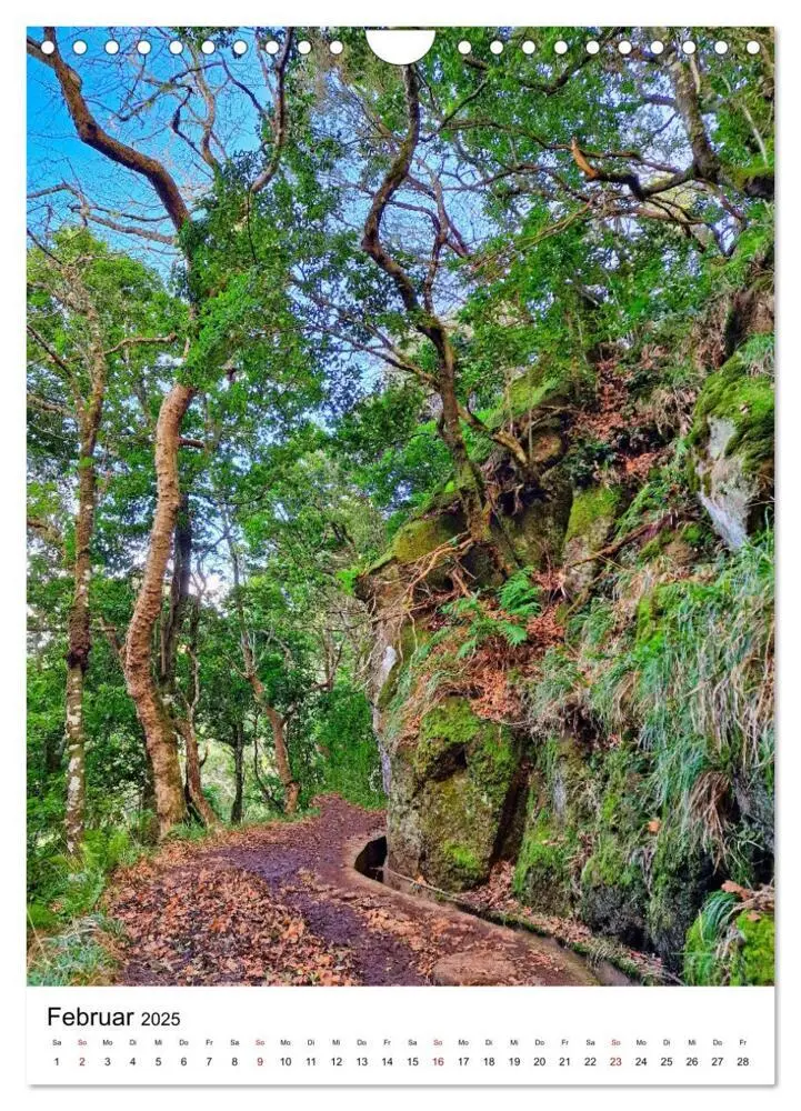Bild: 9783435887224 | Malerisches Madeira (Wandkalender 2025 DIN A4 hoch), CALVENDO...