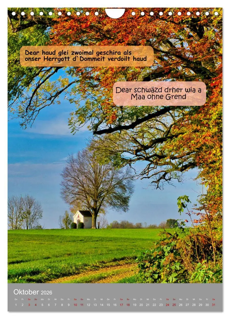 Bild: 9783457287224 | Schwäbische Sprichwörter Oifach g`redt (Wandkalender 2026 DIN A4...