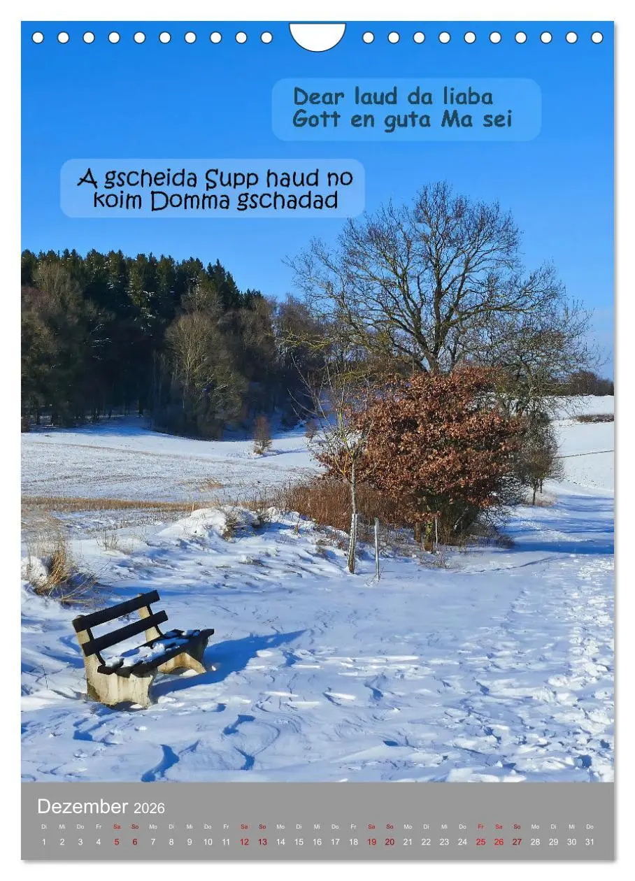Bild: 9783457287224 | Schwäbische Sprichwörter Oifach g`redt (Wandkalender 2026 DIN A4...