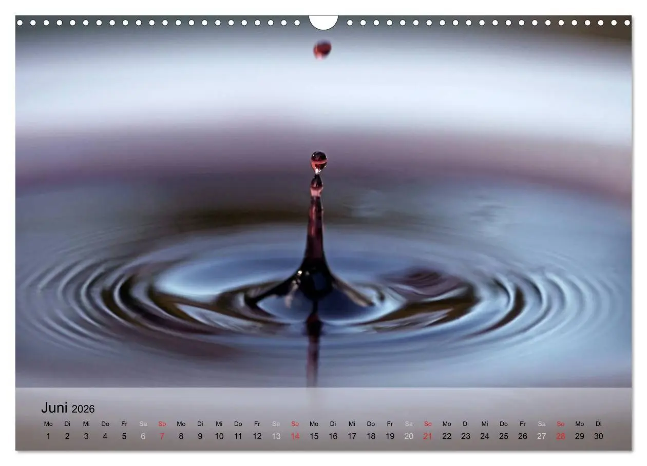 Bild: 9783516207224 | Wein schmeckt fein (Wandkalender 2026 DIN A3 quer), CALVENDO...