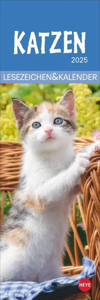 Cover: 9783756407224 | Katzen Lesezeichen &amp; Kalender 2025 | Kalender | Geblockt | Kalender