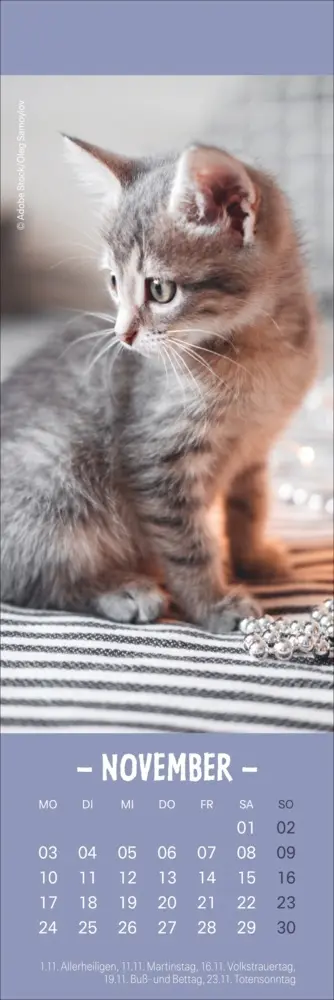 Bild: 9783756407224 | Katzen Lesezeichen &amp; Kalender 2025 | Kalender | Geblockt | Kalender