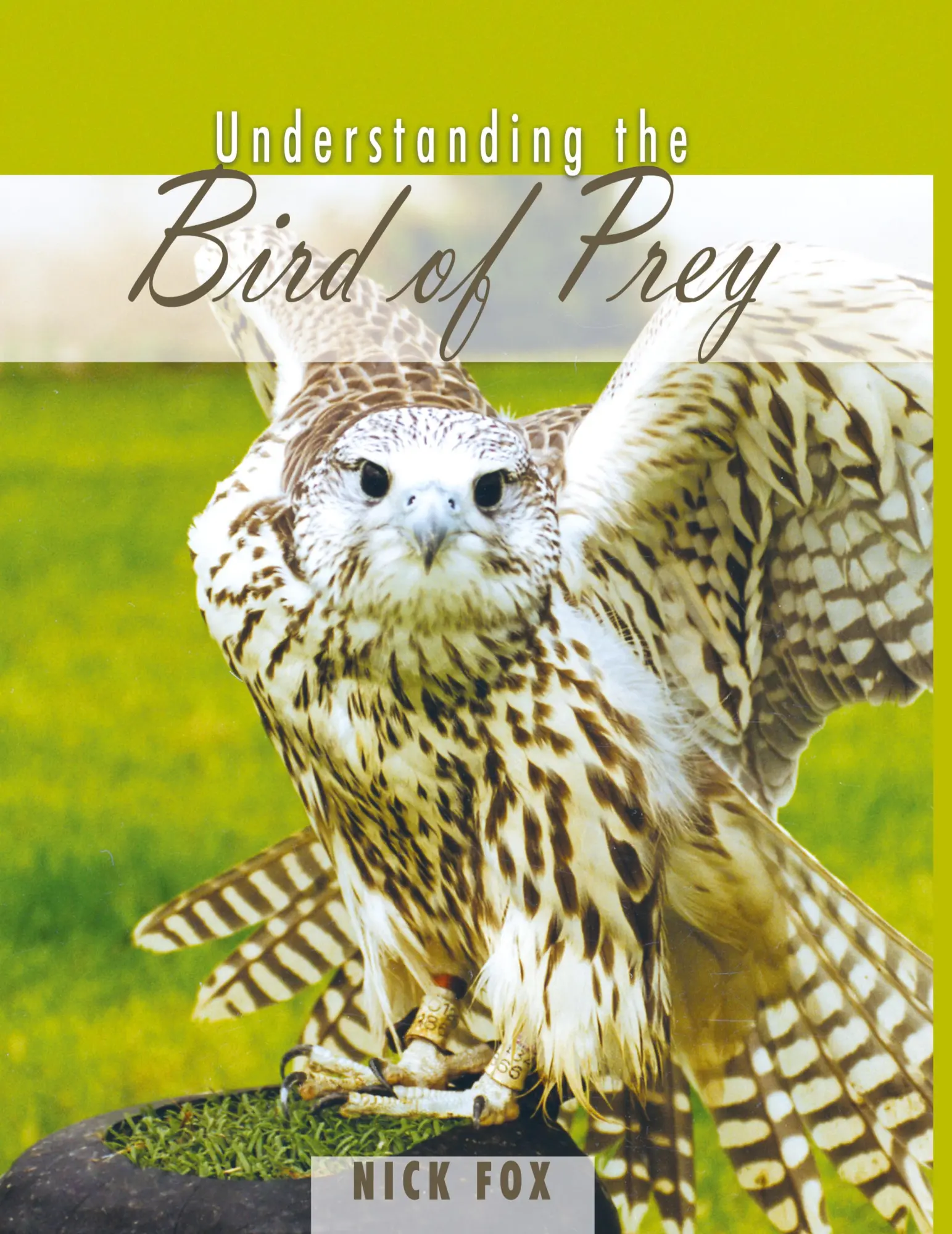 Cover: 9780888397324 | Understanding the Bird of Prey | Nick Fox | Taschenbuch | Englisch