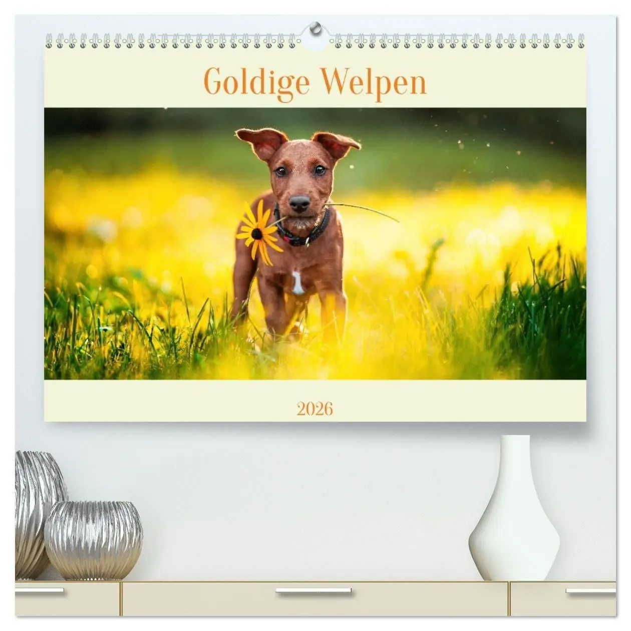 Cover: 9783457347324 | Pfotenblitzers Goldige Welpen (hochwertiger Premium Wandkalender...